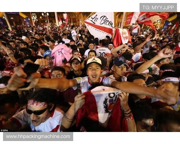 世界杯球迷的疯狂行为：他们在现场点燃烟花、制造喧嚣，营造出令人难忘的足球盛宴氛围